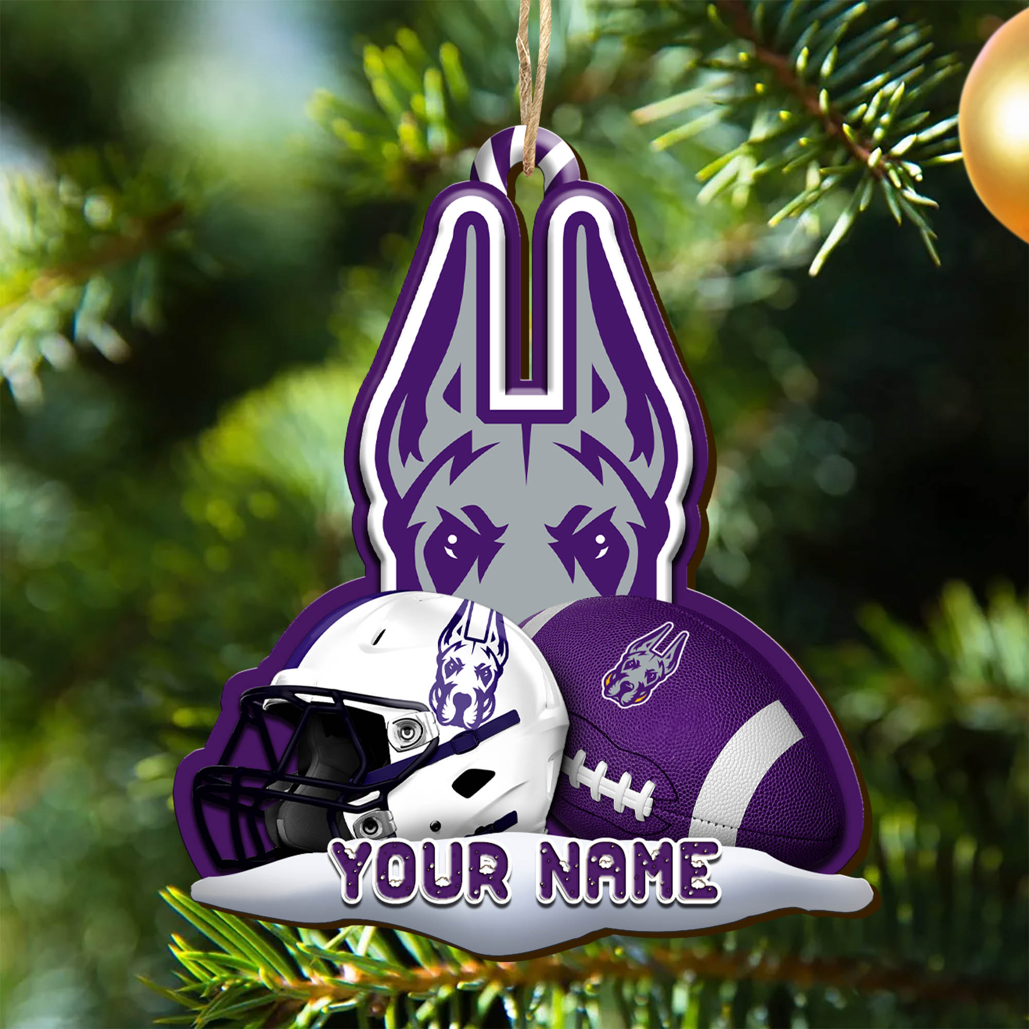 Albany Great Danes Sport Wooden Ornament Customized Your Name, Christmas Gifts For Sport Fan, Christmas Decorations Sport ETHY-53468